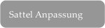Sattel Anpassung