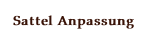 Sattel Anpassung