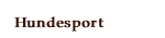 Hundesport